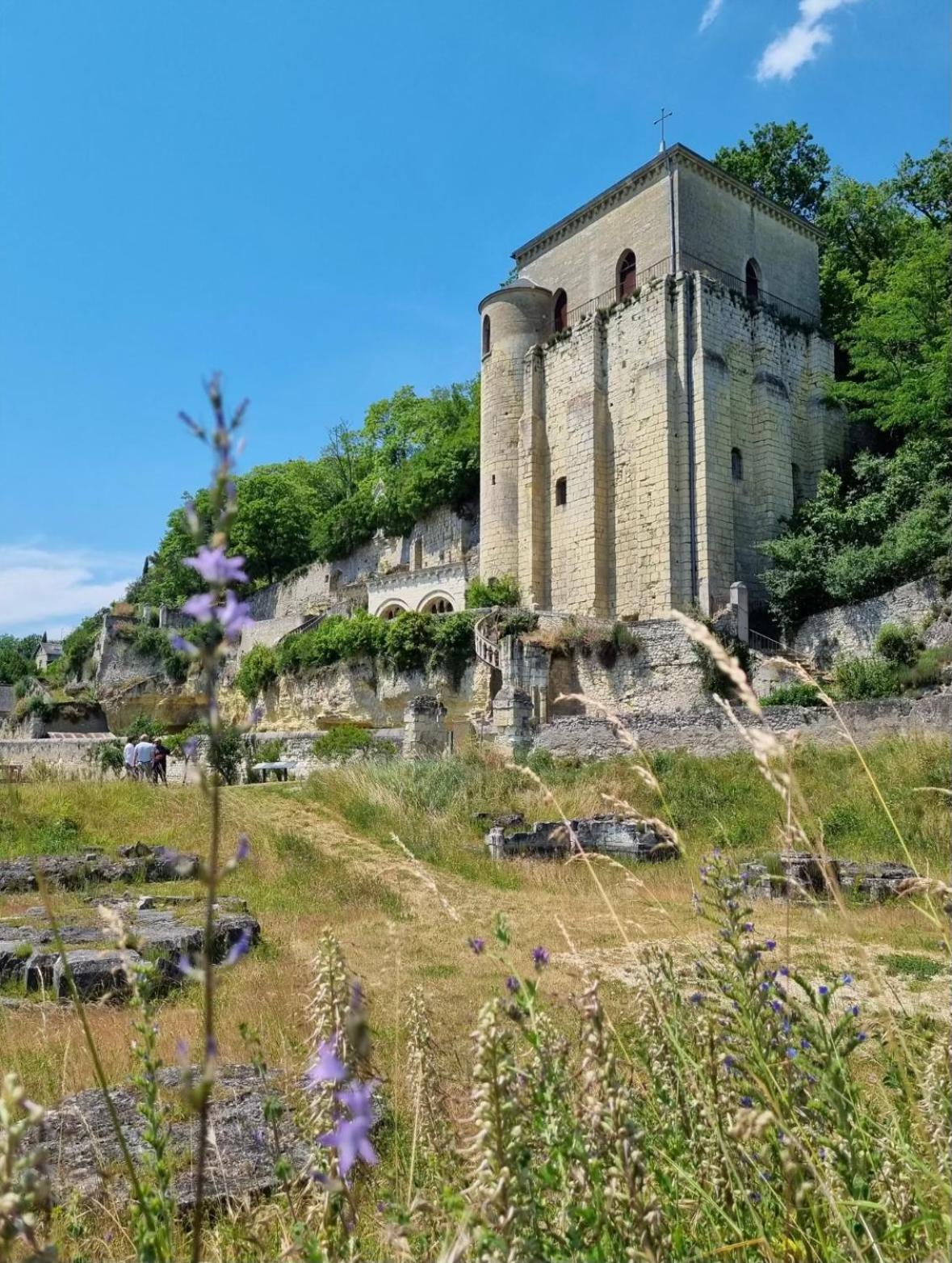Le Cosy Charmeur Climatise Avec Patio * Tours
